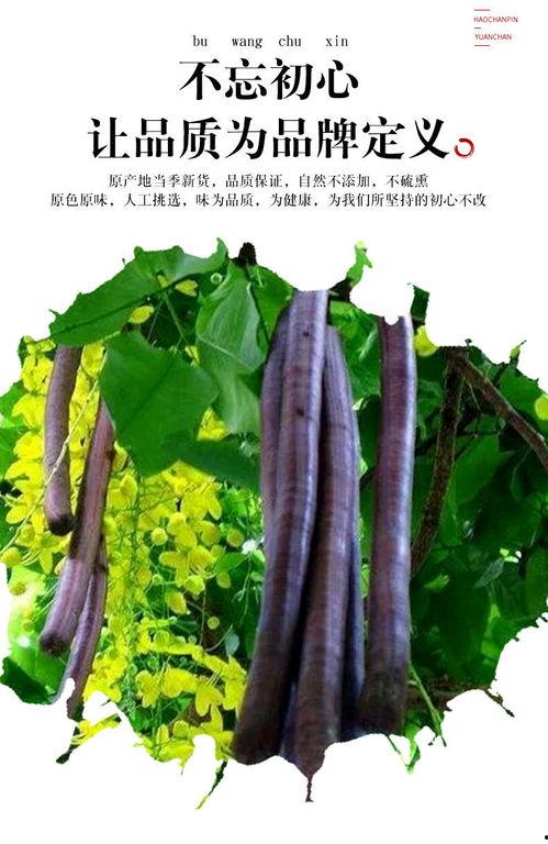 国产植物香肠视频播放,绿色健康，美味无限，视频播放见证流行趋势