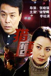 国产猎鹰视频在线播放,在线观看，领略国产科幻巨制魅力