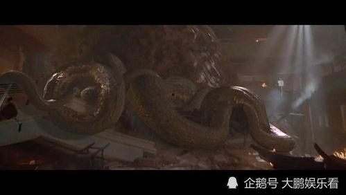 国产十大怪兽视频,揭秘神秘生物的奇幻世界