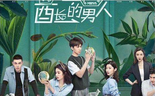 国产恋爱甜剧片段视频,国产恋爱甜剧片段集锦