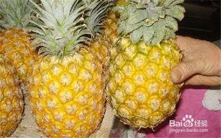 国产菠萝怎么挑好吃的视频,教你轻松辨别美味菠萝