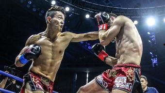 国产猛男激烈视频播放