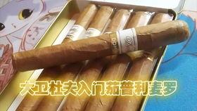 真实国产雪茄视频,一场视觉与味觉的双重盛宴